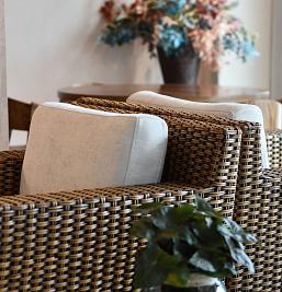 Image gallery of Hotel Buena Vista Express